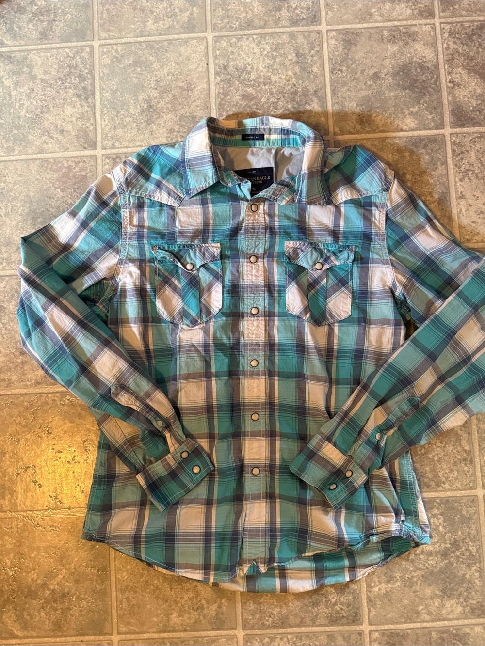 American Eagle Outfitters Blue and White Plaid Button-Down Shirt